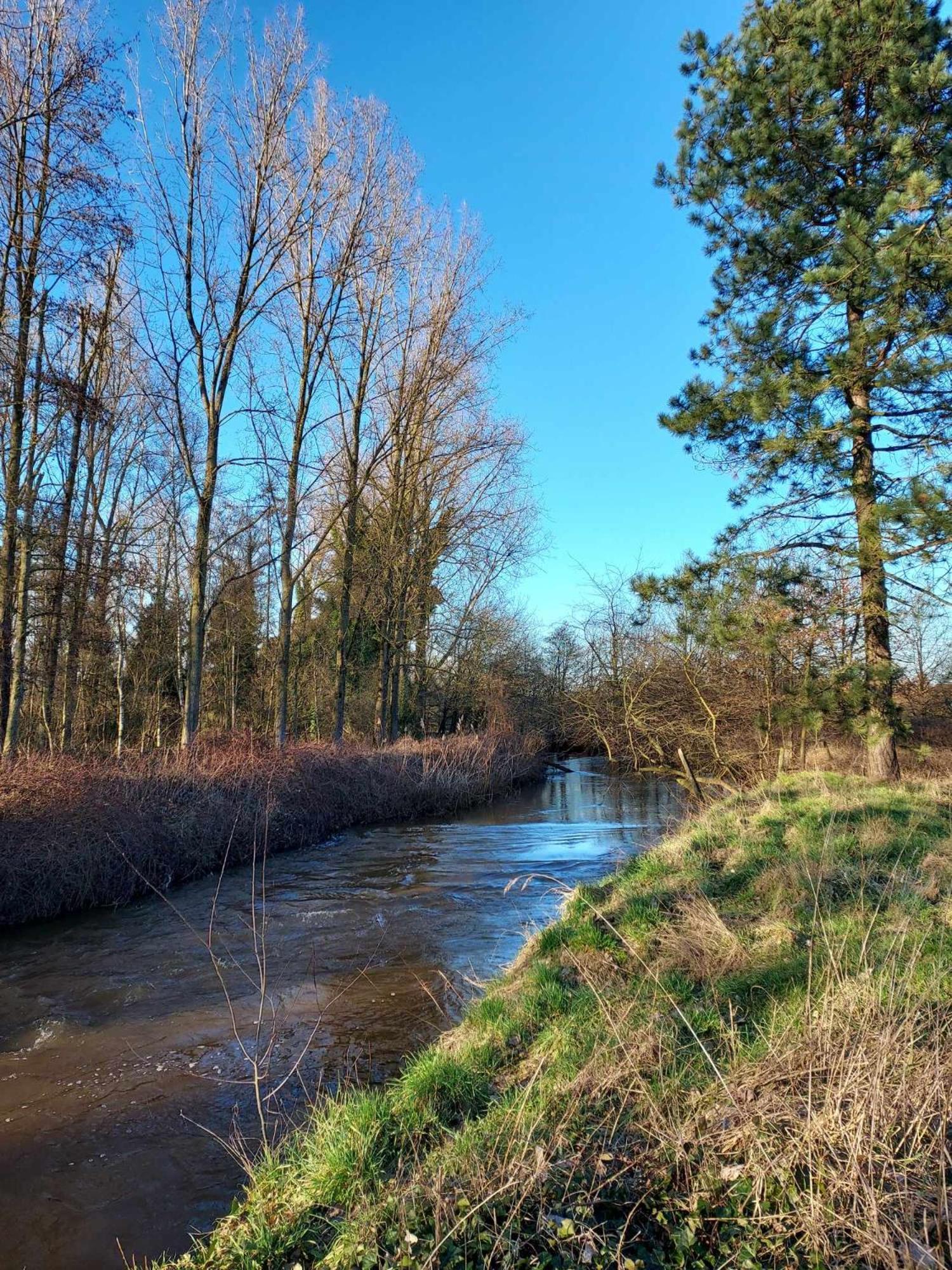 Rustig Gelegen Chalet Solvo Met Terras Aan Het Water Geel Esterno foto